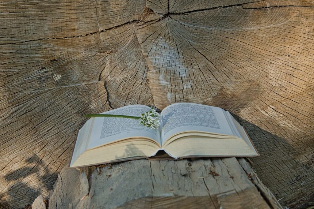 a book, tree, wood
